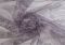 Print 2